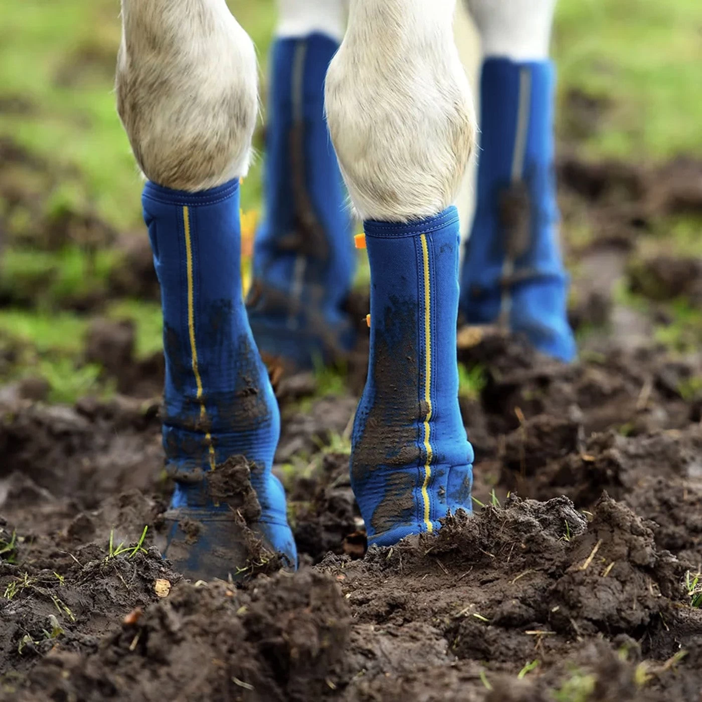 Equilibrium Equi-Chaps Close Contact 7 Equilibrium Equi-Chaps Close Contact - Image 5