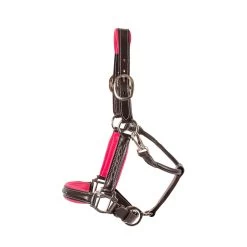 Belle & Bow Fancy Stitched Halter - Pony