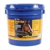 Finish Line Kool Out Poultice 13lb -Horse Supplies Store 82516