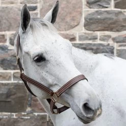 Val Du Bois Triple Stitch Leather Halter -Horse Supplies Store 83204