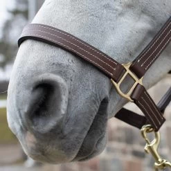 Val Du Bois Triple Stitch Leather Halter -Horse Supplies Store 83206
