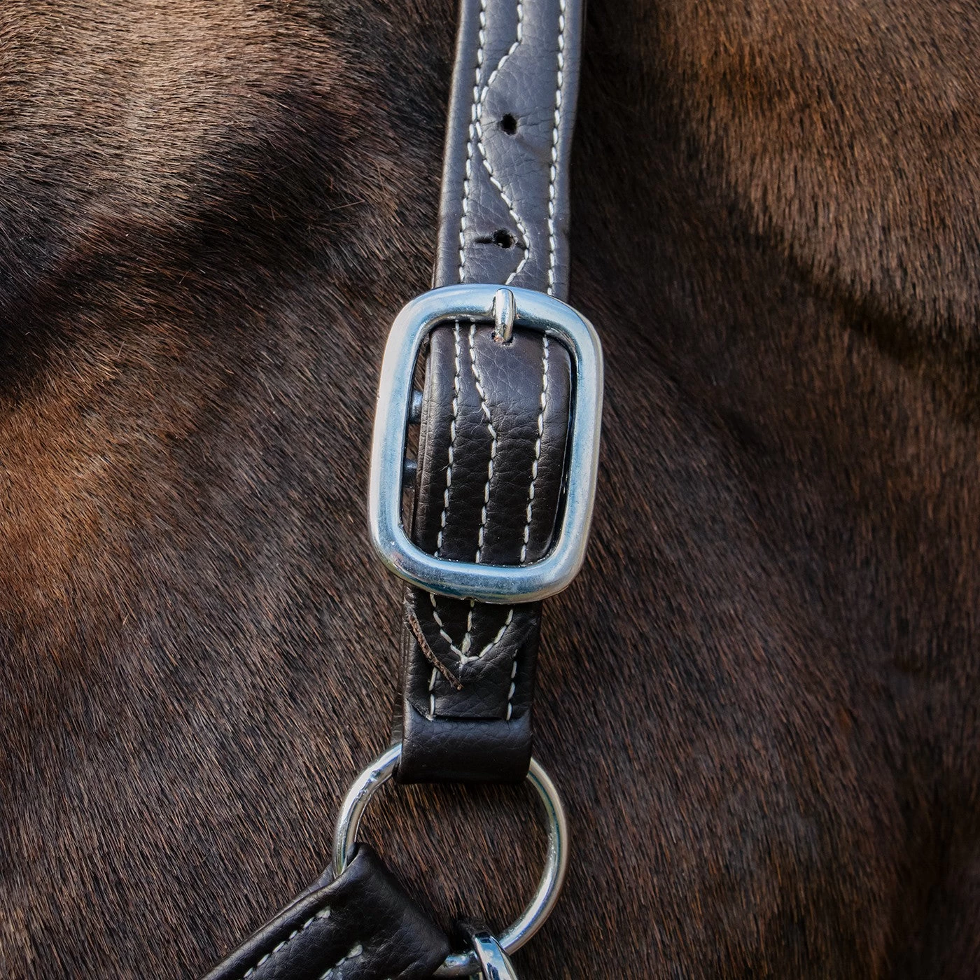 Val Du Bois Synthetic Leather Halter 5 Val Du Bois Synthetic Leather Halter - Image 3