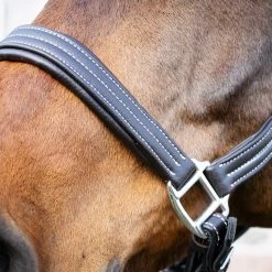 Val Du Bois Synthetic Leather Halter 10 Val Du Bois Synthetic Leather Halter -Horse Supplies Store 83597
