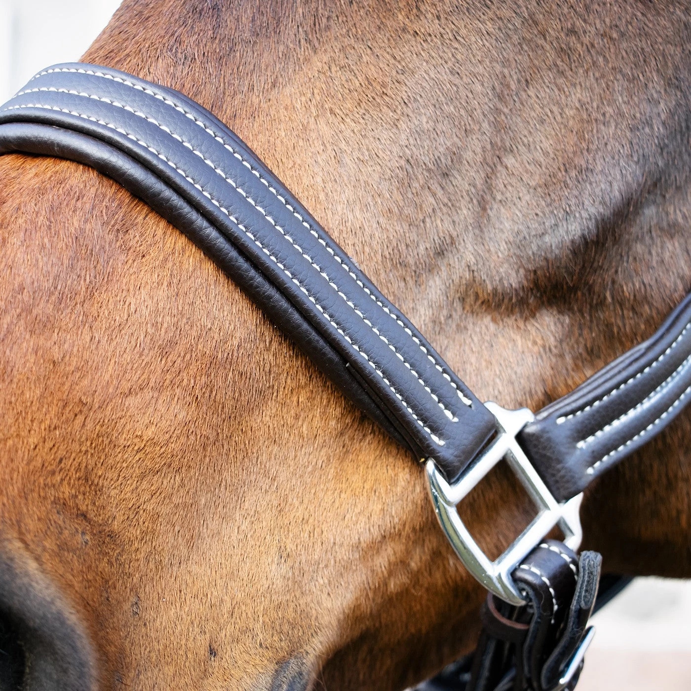 Val Du Bois Synthetic Leather Halter 6 Val Du Bois Synthetic Leather Halter - Image 4