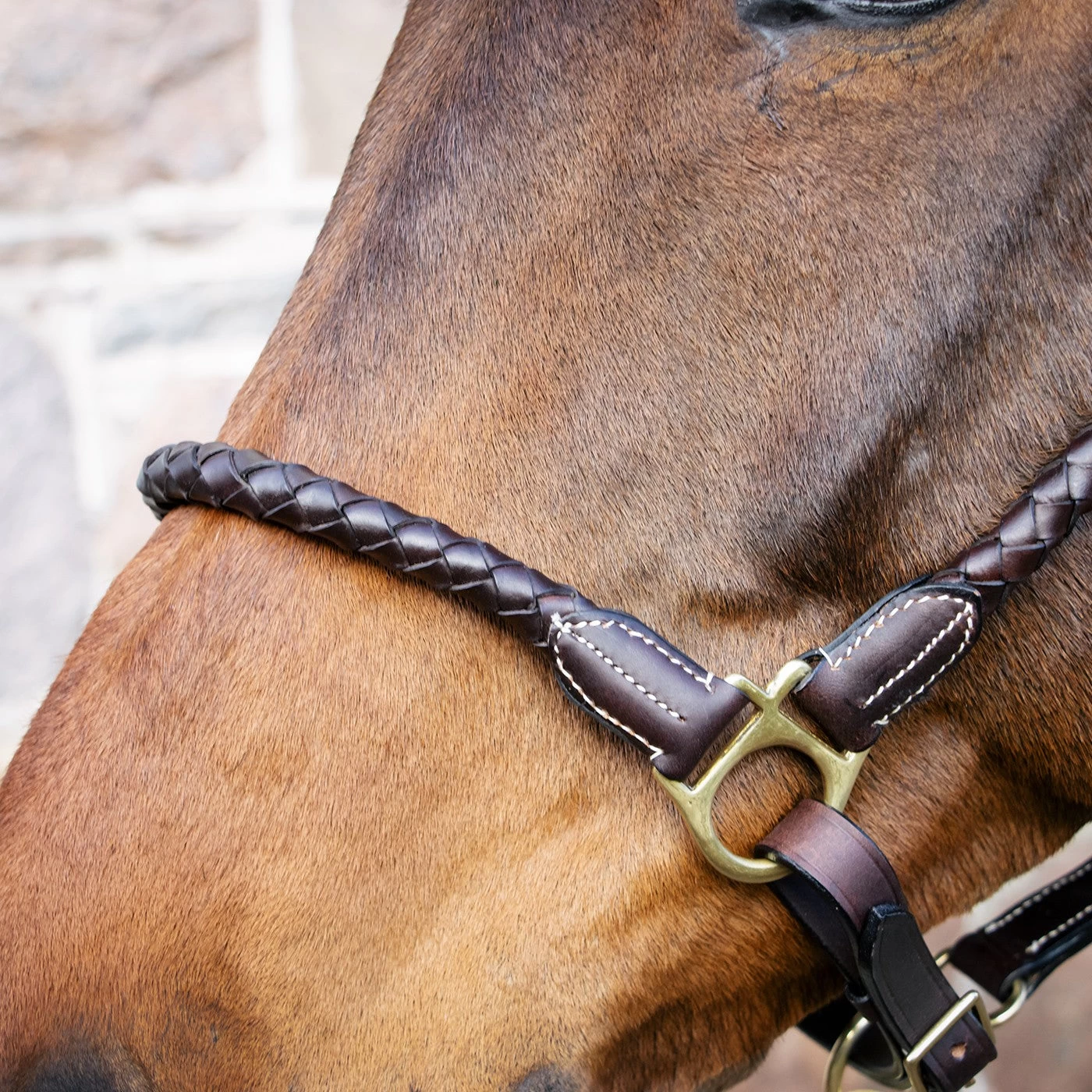 Val Du Bois Braided Leather Halter 4 Val Du Bois Braided Leather Halter - Image 2