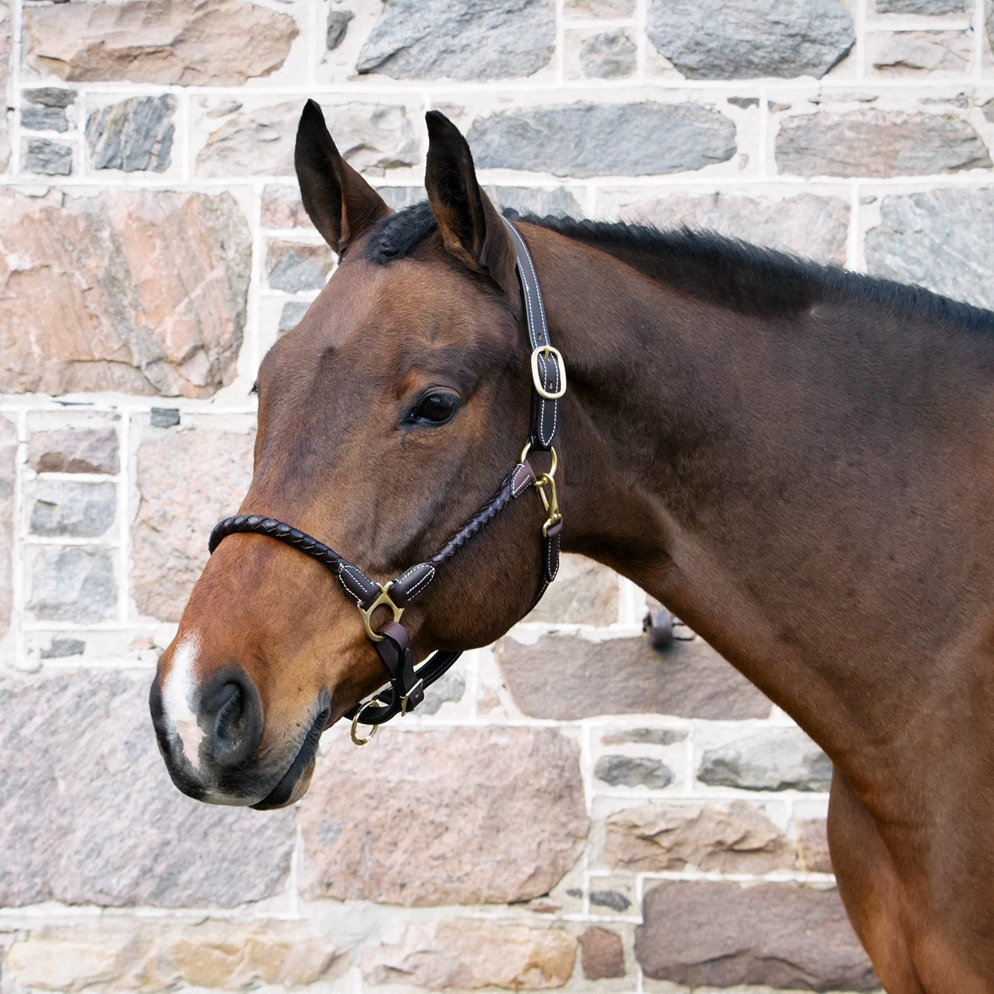 Val Du Bois Braided Leather Halter 5 Val Du Bois Braided Leather Halter - Image 3