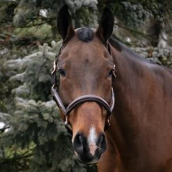 Val Du Bois Rose Gold Raised Leather Halter -Horse Supplies Store 83601