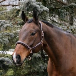 Val Du Bois Rose Gold Raised Leather Halter -Horse Supplies Store 83603