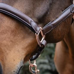 Val Du Bois Rose Gold Raised Leather Halter -Horse Supplies Store 83604