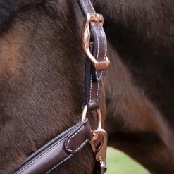 Val Du Bois Rose Gold Raised Leather Halter -Horse Supplies Store 83605