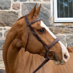 Mondega Vienna Fancy Stitch Hunter Bridle -Horse Supplies Store 83687