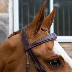 Mondega Vienna Fancy Stitch Hunter Bridle -Horse Supplies Store 83688