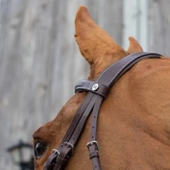 Mondega Vienna Fancy Stitch Hunter Bridle -Horse Supplies Store 83689