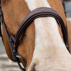 Mondega Vienna Fancy Stitch Hunter Bridle -Horse Supplies Store 83690