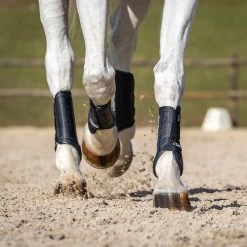 LeMieux Carbon Air XC Front Boots -Horse Supplies Store 83830