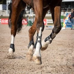 Summit Open Front Tendon Boots -Horse Supplies Store 84107