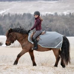 Swift Exercise Sheet 11 Swift Exercise Sheet -Horse Supplies Store 84835