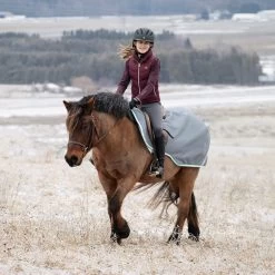 Swift Exercise Sheet 9 Swift Exercise Sheet -Horse Supplies Store 84838