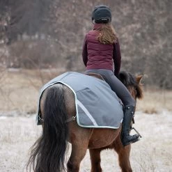 Swift Exercise Sheet 10 Swift Exercise Sheet -Horse Supplies Store 84839