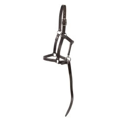 Val Du Bois Foal Halter W/ Catch Strap