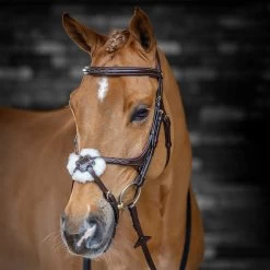LeMieux Kudos Grackle Bridle