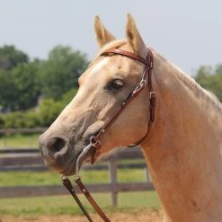 Copper Canyon Finished Leather Browband Headstall W/ Chicago Screws