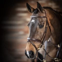 LeMieux Kudos Competition Flash Bridle