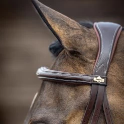 LeMieux Kudos Competition Flash Bridle -Horse Supplies Store 89023