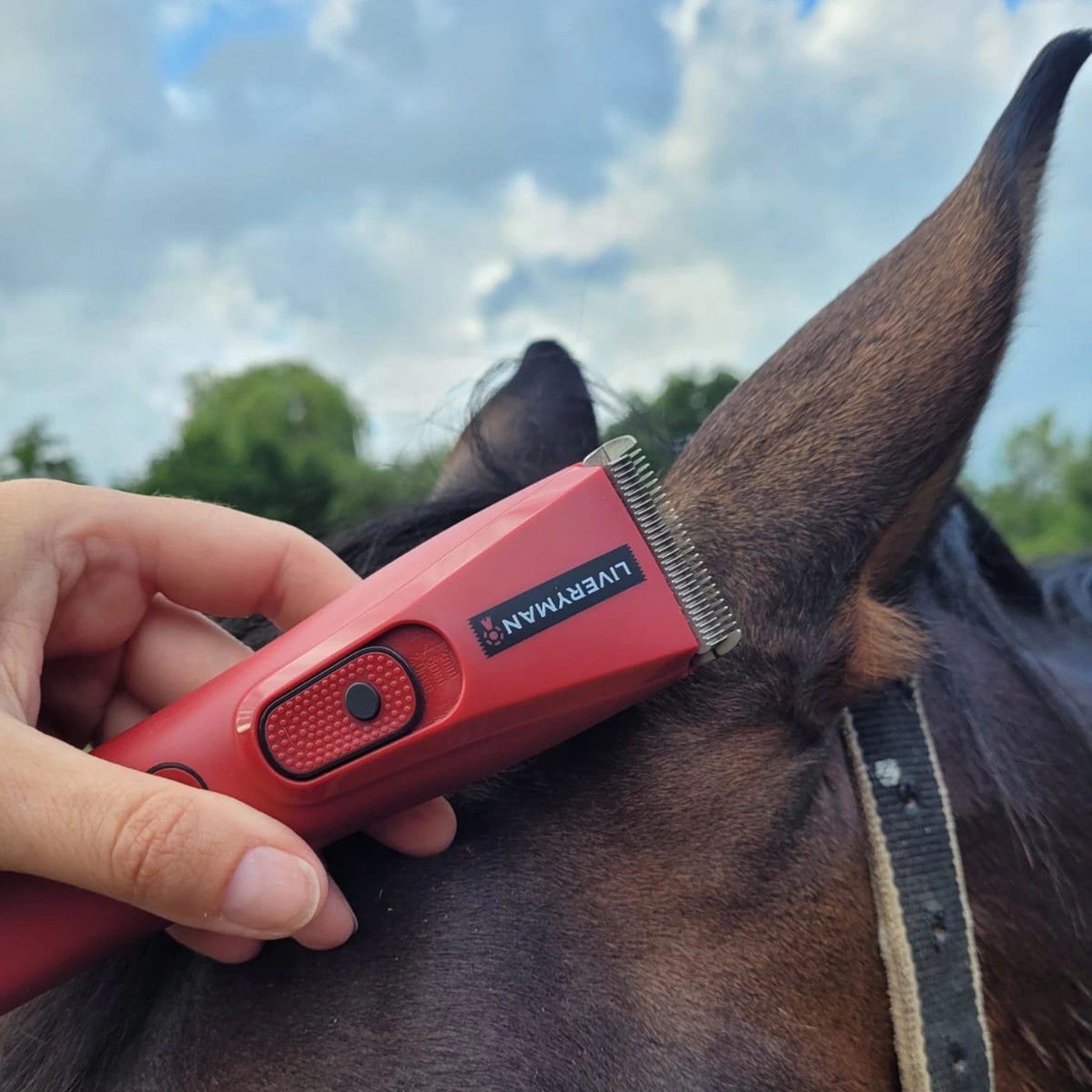 Liveryman Nova Cordless Trimmer 11 Liveryman Nova Cordless Trimmer - Image 9