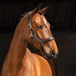 Horseware Ireland Rambo Micklem Halter