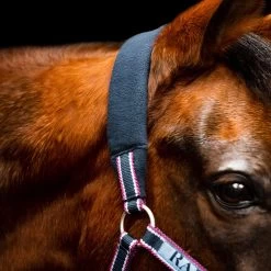 Horseware Ireland Rambo Padded Halter -Horse Supplies Store 90084
