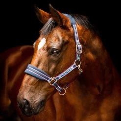 Horseware Ireland Rambo Padded Halter