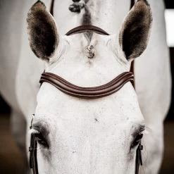 Horseware Ireland Rambo Micklem Deluxe Competition Bridle W/ Reins -Horse Supplies Store 90129