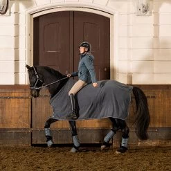 BR Djoy Majestic Tendon Boots -Horse Supplies Store BOE0089 8P 2