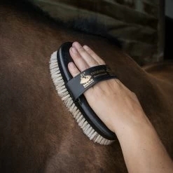 Haas Cavaliere Brush -Horse Supplies Store GRO0090 1