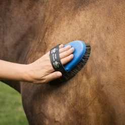 Haas Welsh Brush -Horse Supplies Store GRO0093 BL 1