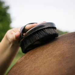 Haas Effect Brush -Horse Supplies Store GRO0095 1