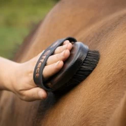 Haas Effect Brush -Horse Supplies Store GRO0095 3