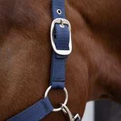 Supra Manchester Halter 8 Supra Manchester Halter -Horse Supplies Store HAH0021 53 3