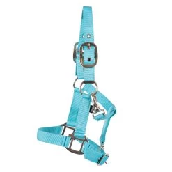 Supra Adjustable Mini Halter W/ Breakaway -Horse Supplies Store gh 0c44458a 1f48 4ee4 9a38 652e44c15bc4