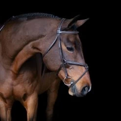 Val Du Bois Padded Fancy Stitched Figure-8 Bridle -Horse Supplies Store gh 104c8416 c294 4be7 a14f d946416788c1