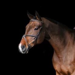 Val Du Bois Padded Fancy Stitched Figure-8 Bridle -Horse Supplies Store gh 16f79d7f ea5d 4f9e be46 41dfe843cef6