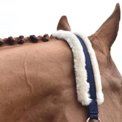 Shedrow Rose Gold Sheepskin Lined Halter -Horse Supplies Store gh 1b616093 2610 47d0 b079 7802c916edfd