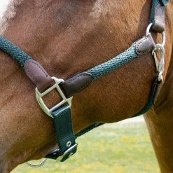 Shedrow Nylon & Leather Halter -Horse Supplies Store gh 37a43021 6abf 40ca b841 edb061a92431