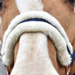 Shedrow Rose Gold Sheepskin Lined Halter -Horse Supplies Store gh 38dd0cd2 6c37 4ea1 bfa9 65206fad1e57