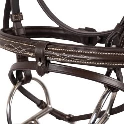Val Du Bois Padded Fancy Stitched Bridle W/ Removable Flash -Horse Supplies Store gh 41806e6c c8e5 45ec 98ef 416cf2d2e57b