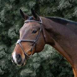 Val Du Bois Padded Fancy Stitched Figure-8 Bridle -Horse Supplies Store gh 4598e88b de24 4f9f 98ce c9f1c0178c31