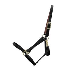 Shedrow Deluxe 3/4 In. Halter