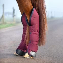 Horseware Ireland Rambo Travel Boots -Horse Supplies Store gh 4fb862a4 4861 482c 90d9 41777f21d8b4