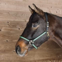 Extreme Two Tone Nylon Halter -Horse Supplies Store gh 50b58331 58e1 437b 99be af84402da6d8